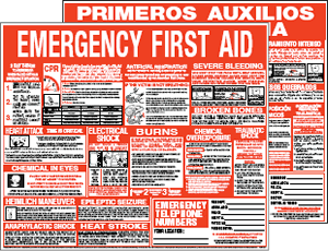 Emergency First Aid Chart Pdf